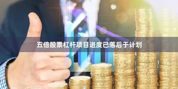 五倍股票杠杆项目进度已落后于计划