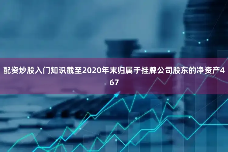 配资炒股入门知识截至2020年末归属于挂牌公司股东的净资产467
