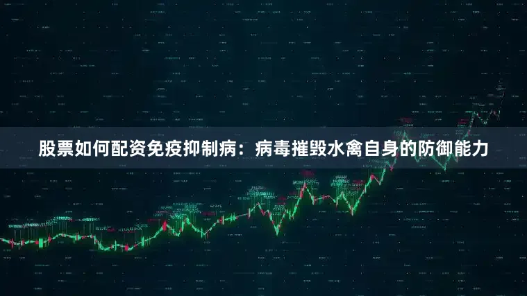 股票如何配资免疫抑制病：病毒摧毁水禽自身的防御能力