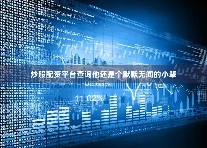 炒股配资平台查询他还是个默默无闻的小辈